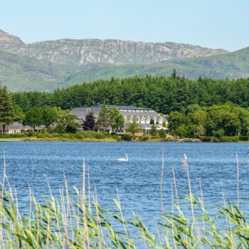 Angling & Boat Trips