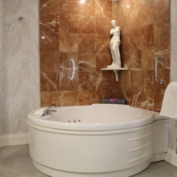 Premium Suite (18)