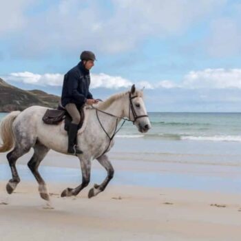 Horse Riding