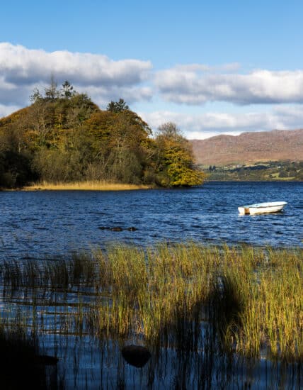 Tourism Ireland