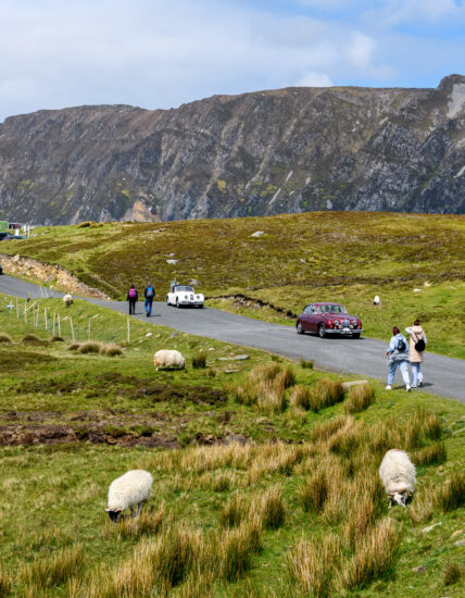 Slieve League cliffs (6)