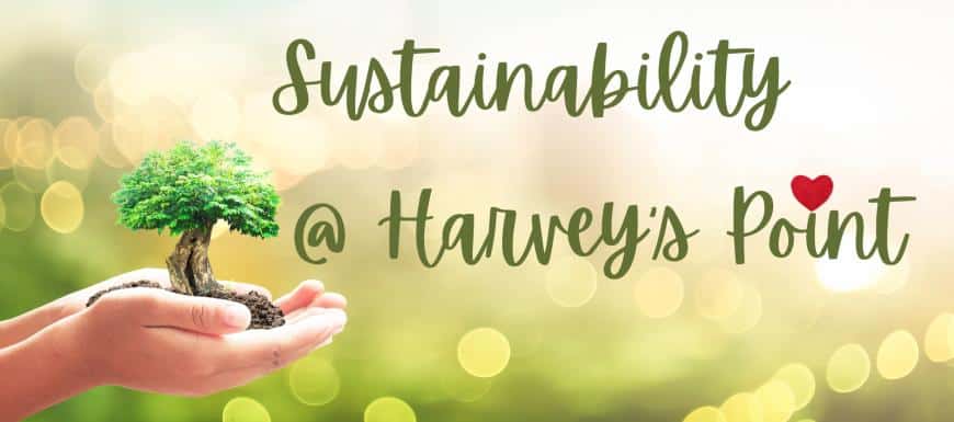 Gold award in sustainabilty